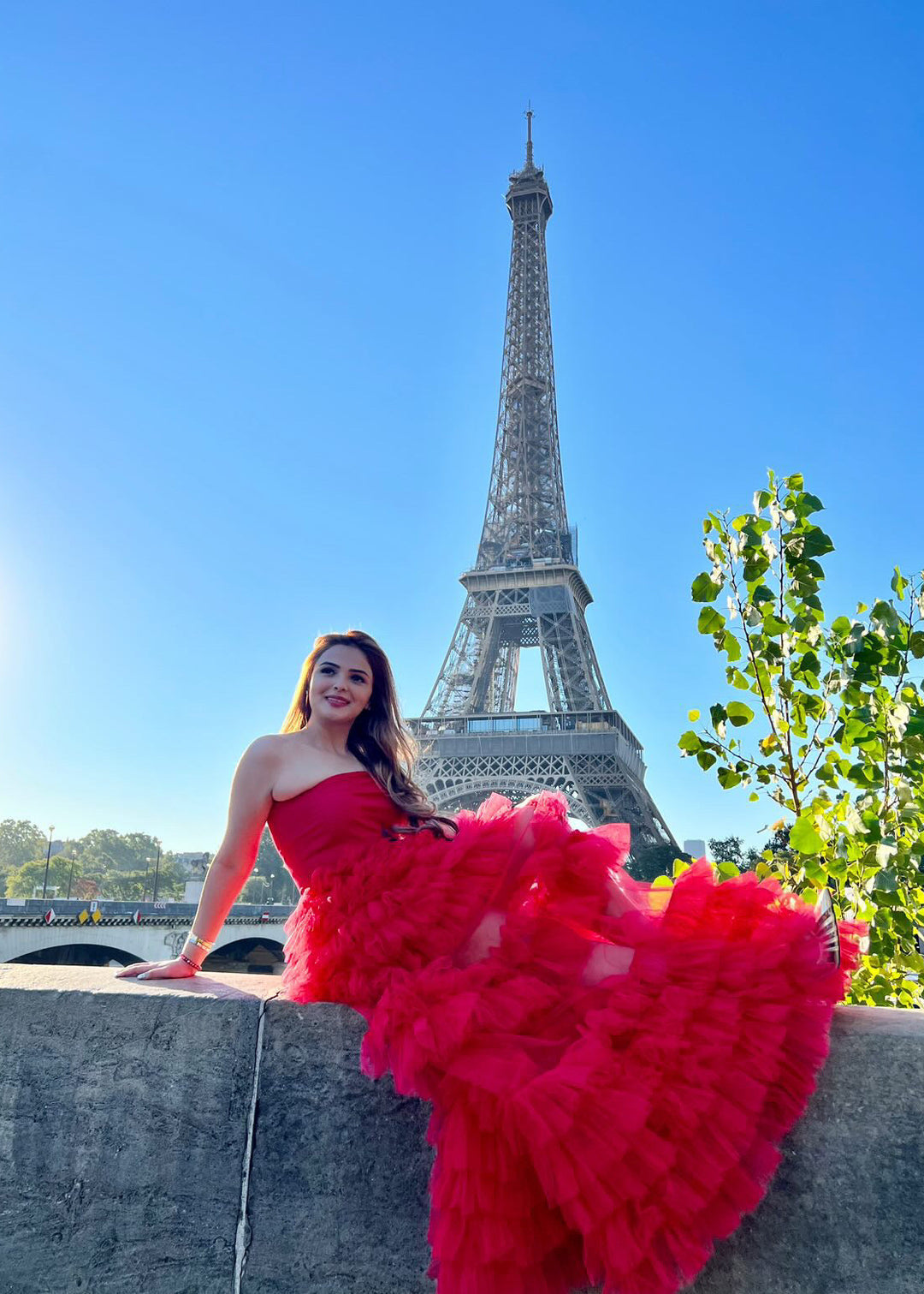 PARIS GOWN